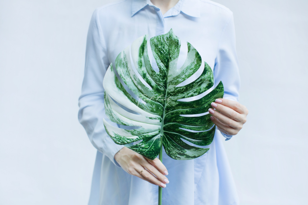 Our Collection Has Been Enriched With Magnificent Artificial Monstera