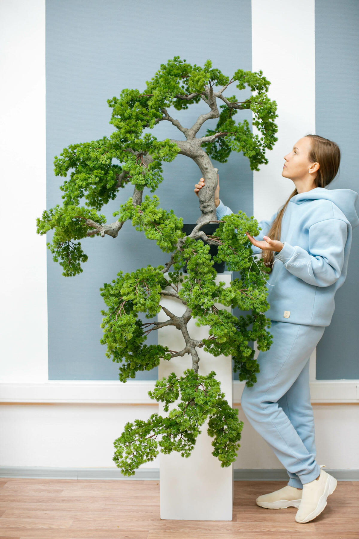 Real Touch Cascade Bonsai 160cm with a short needle bend to the left