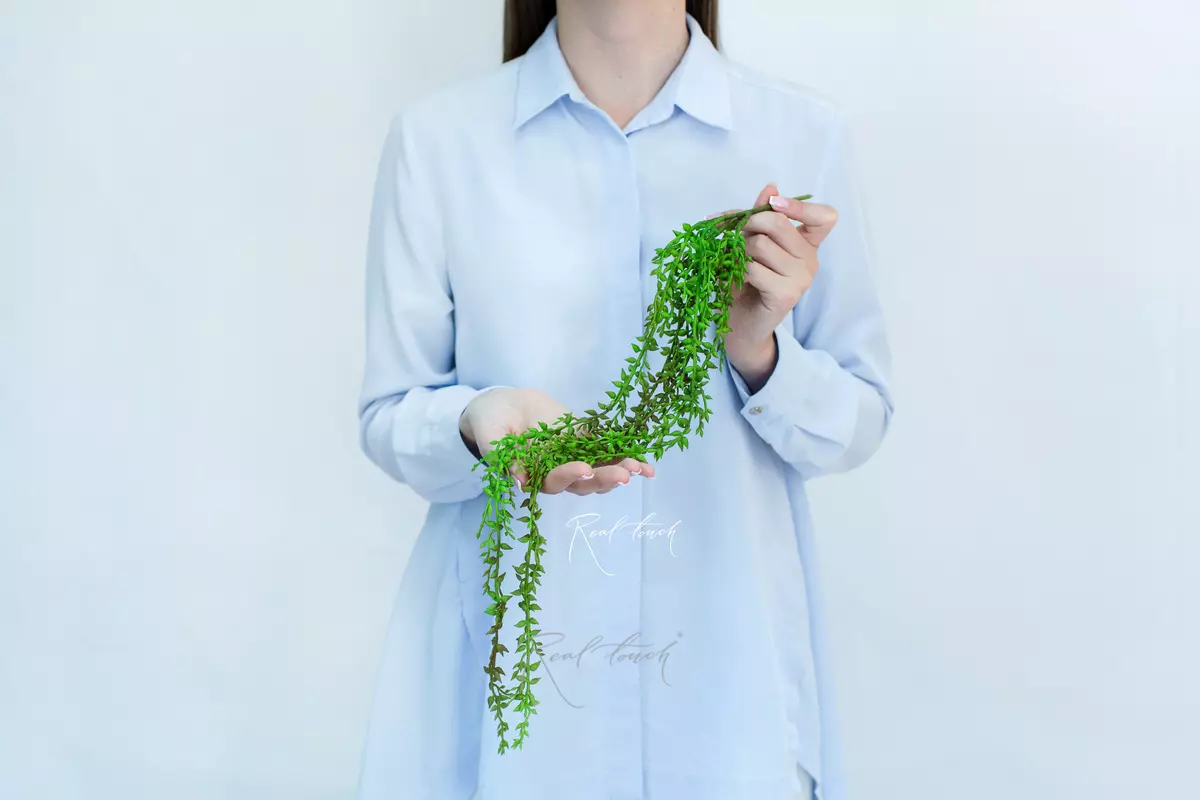 Succulent 405 - Dark green Succulent 405 - Dark green