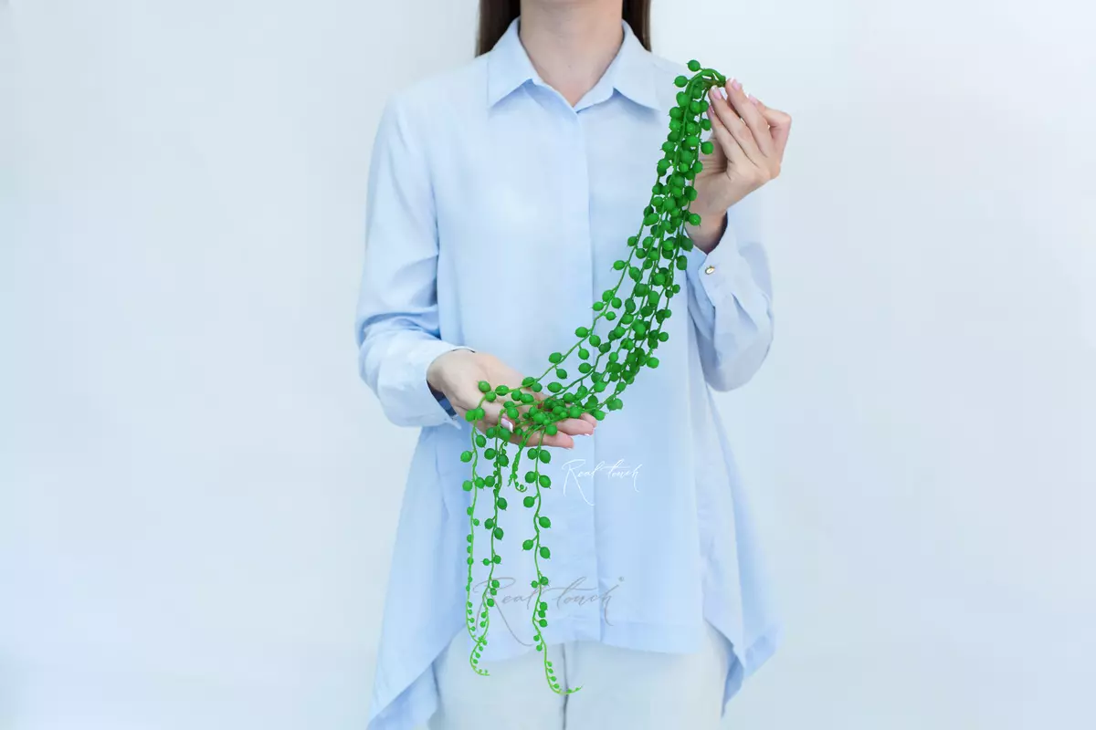 Succulent 406 (Senecio Strings of pearls) - green