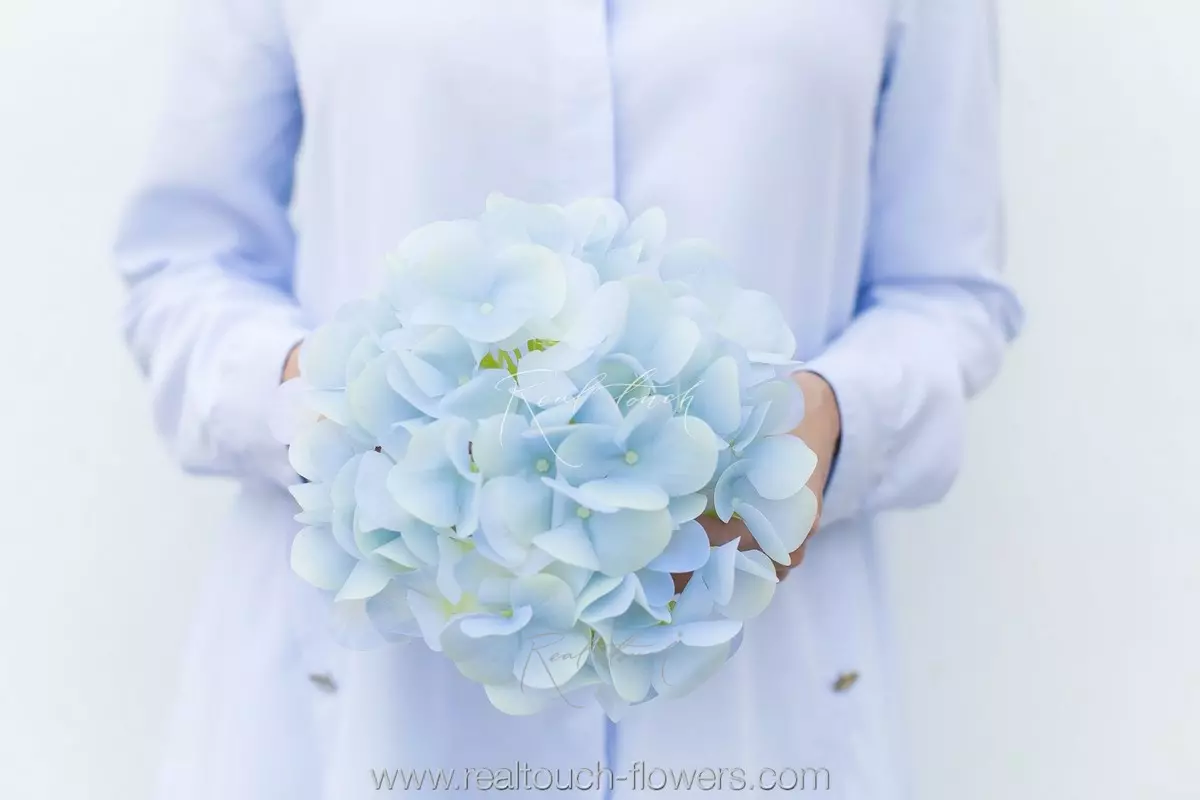Hydrangea Flower (without stem) - light blue
