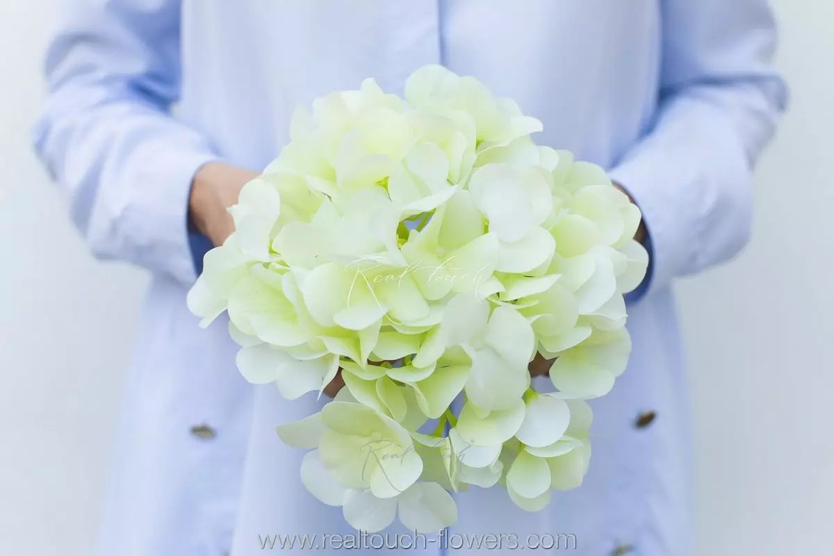 Hydrangea Flower (without stem) - Soft light green Hydrangea Flower (without stem) - Soft light green