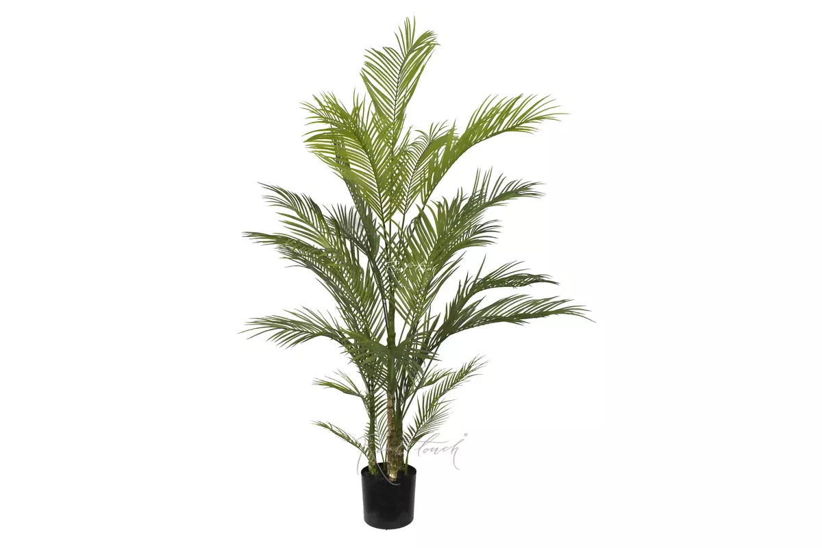 Real Touch Areca Chrysalidocarpus Palm 180cm - green Real Touch Areca Chrysalidocarpus Palm 180cm - green
