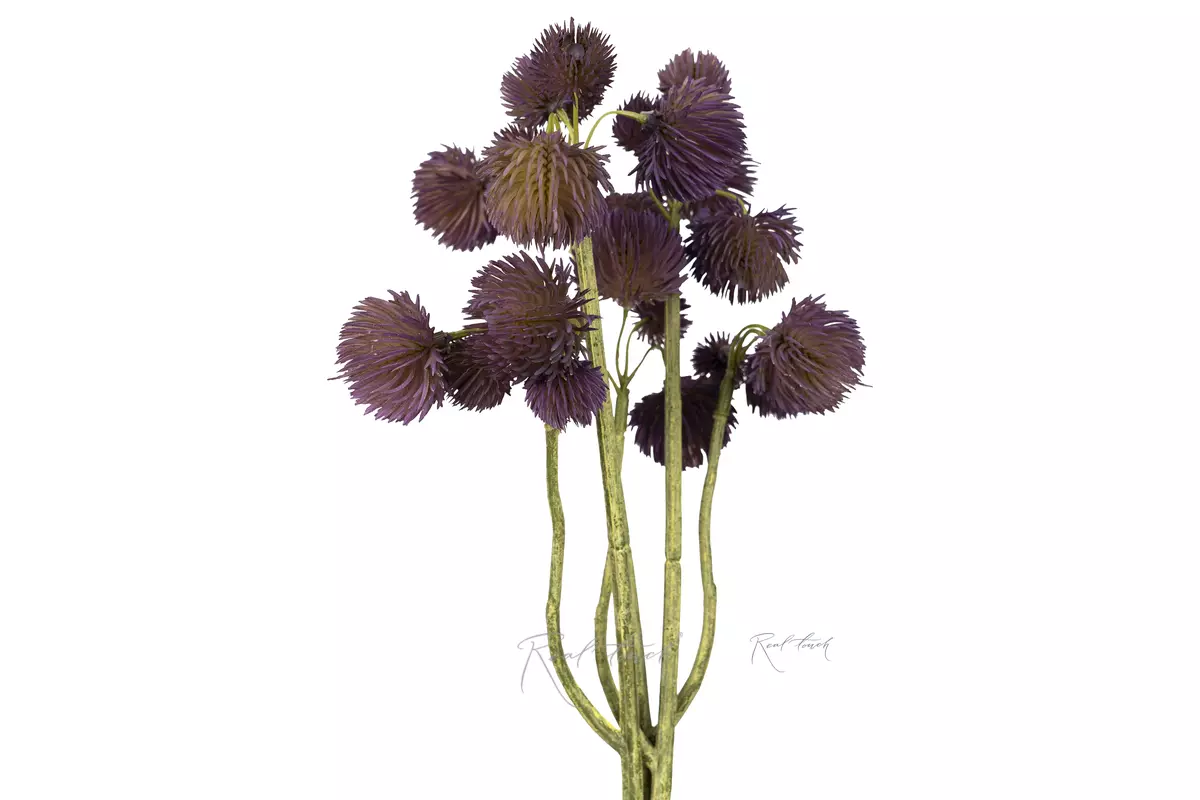 Gomphrena (bundle of 3 pieces) - purple