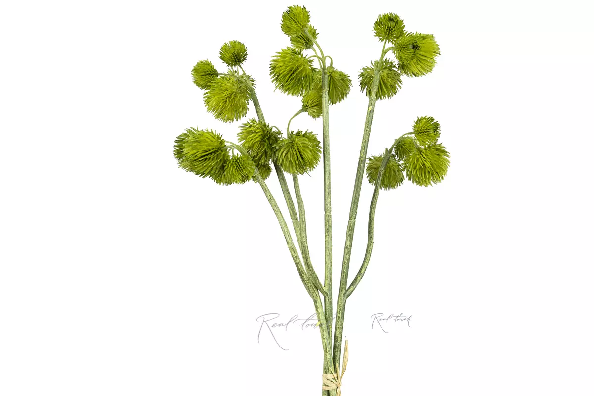 Gomphrena (bundle of 3 pieces) - green