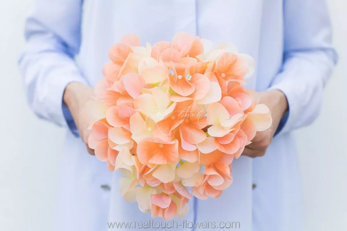 Hydrangea Flower (without stem) - peach