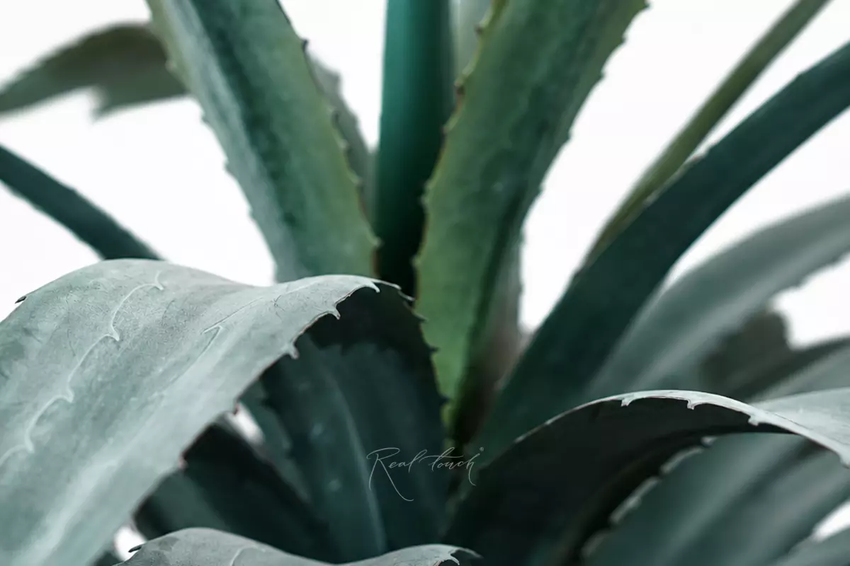 Artificial Agave Tequila 125 cm - green