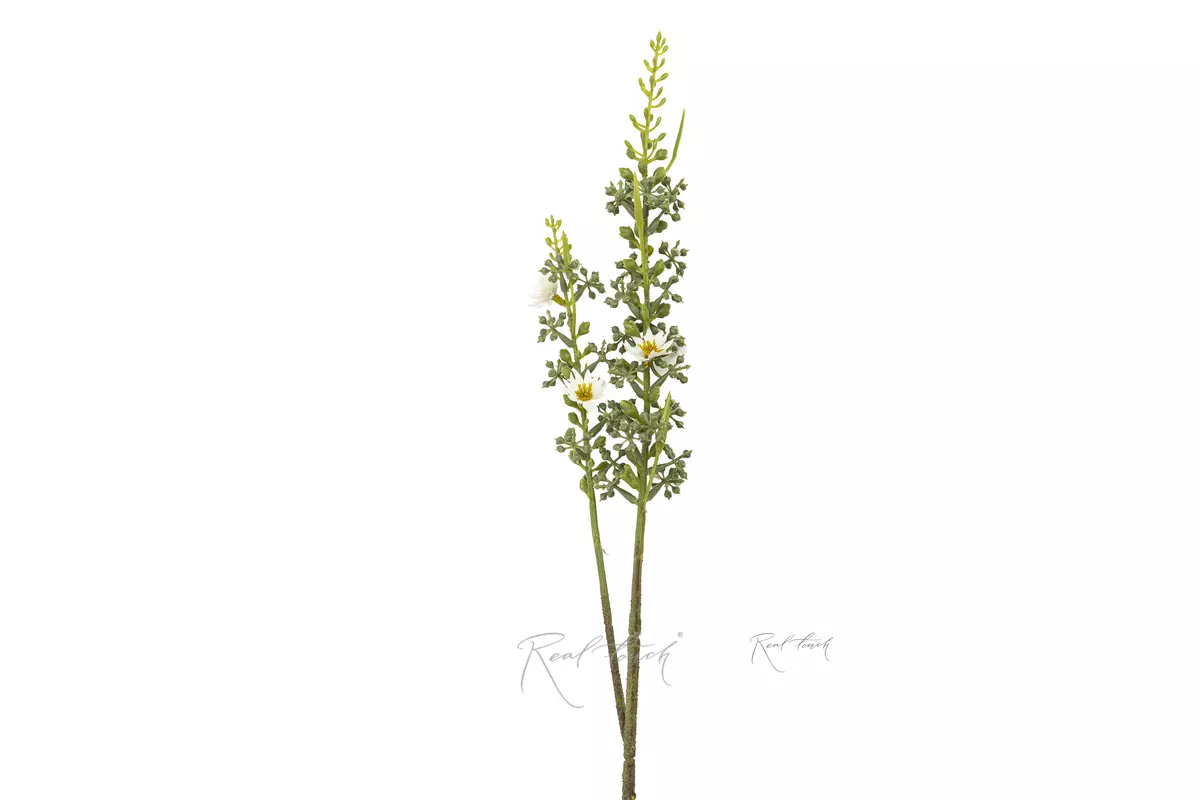 Asterisk with berries - white