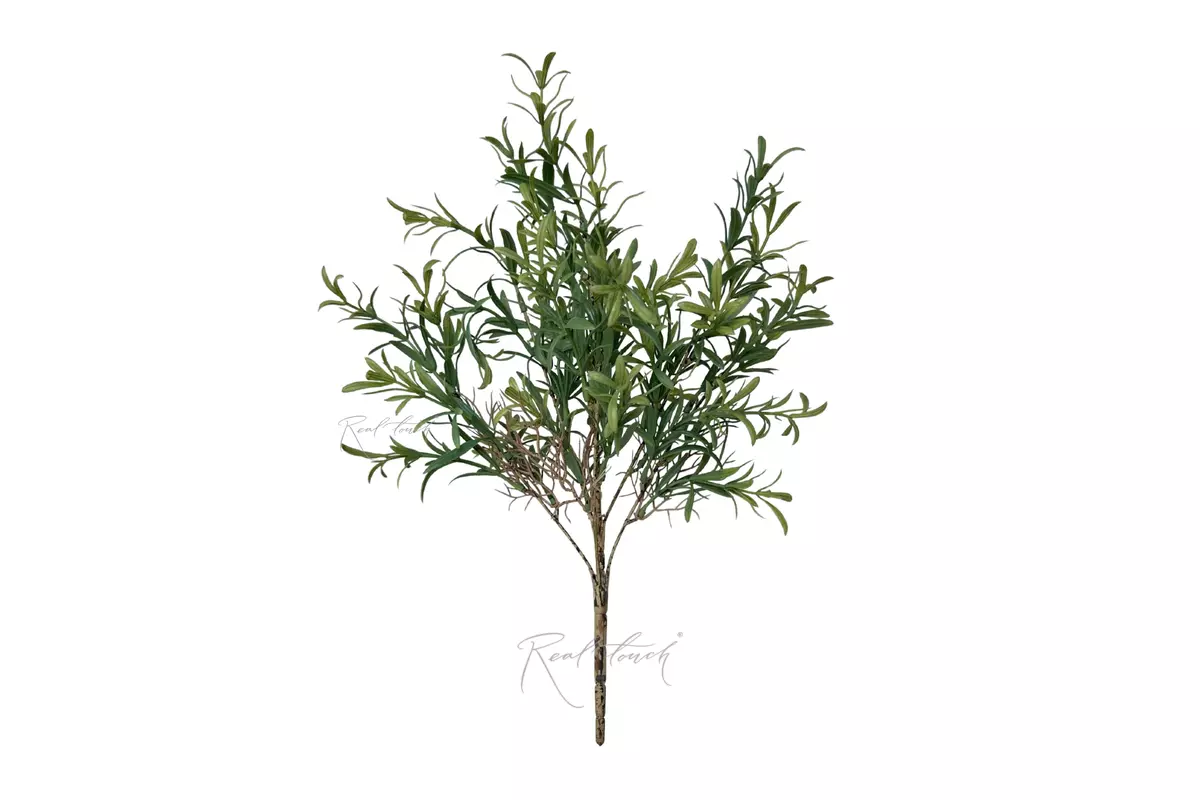 Medium Rosemary Spray  - Dark green
