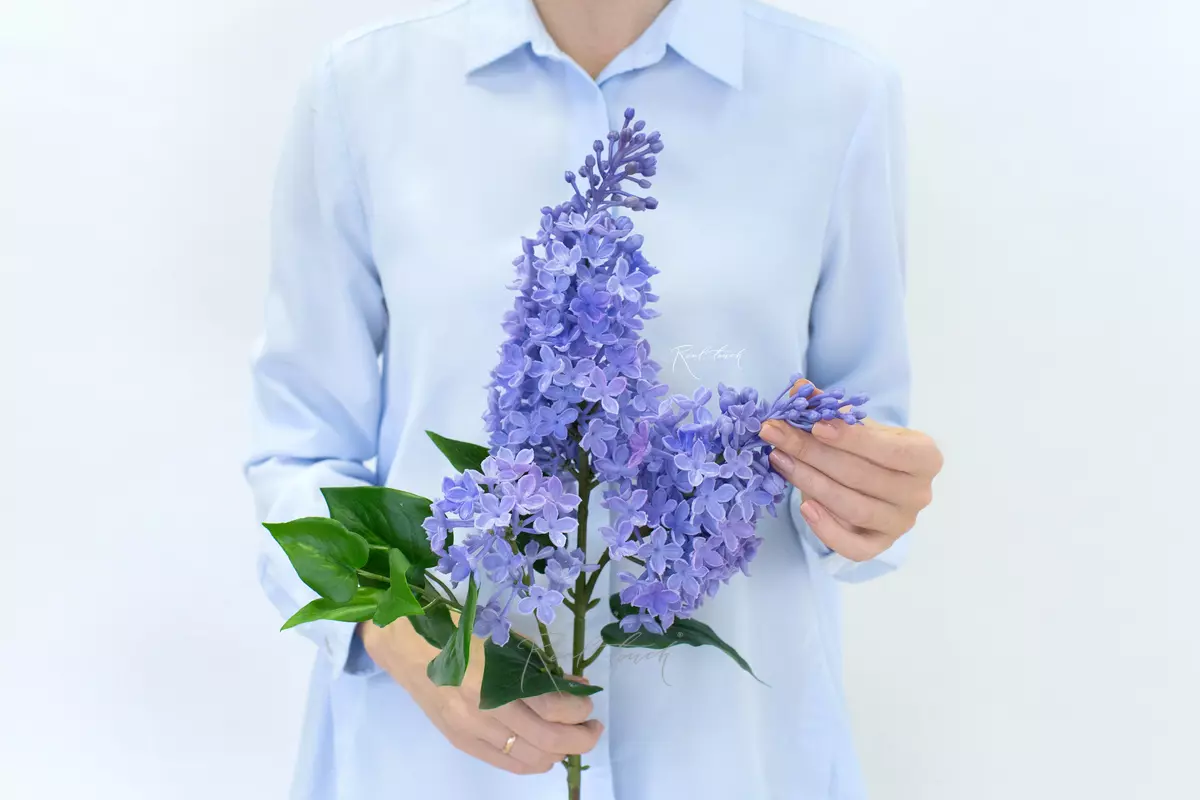Real Touch Lilac Branch (3 sprays) - purple Real Touch Lilac Branch (3 sprays) - purple