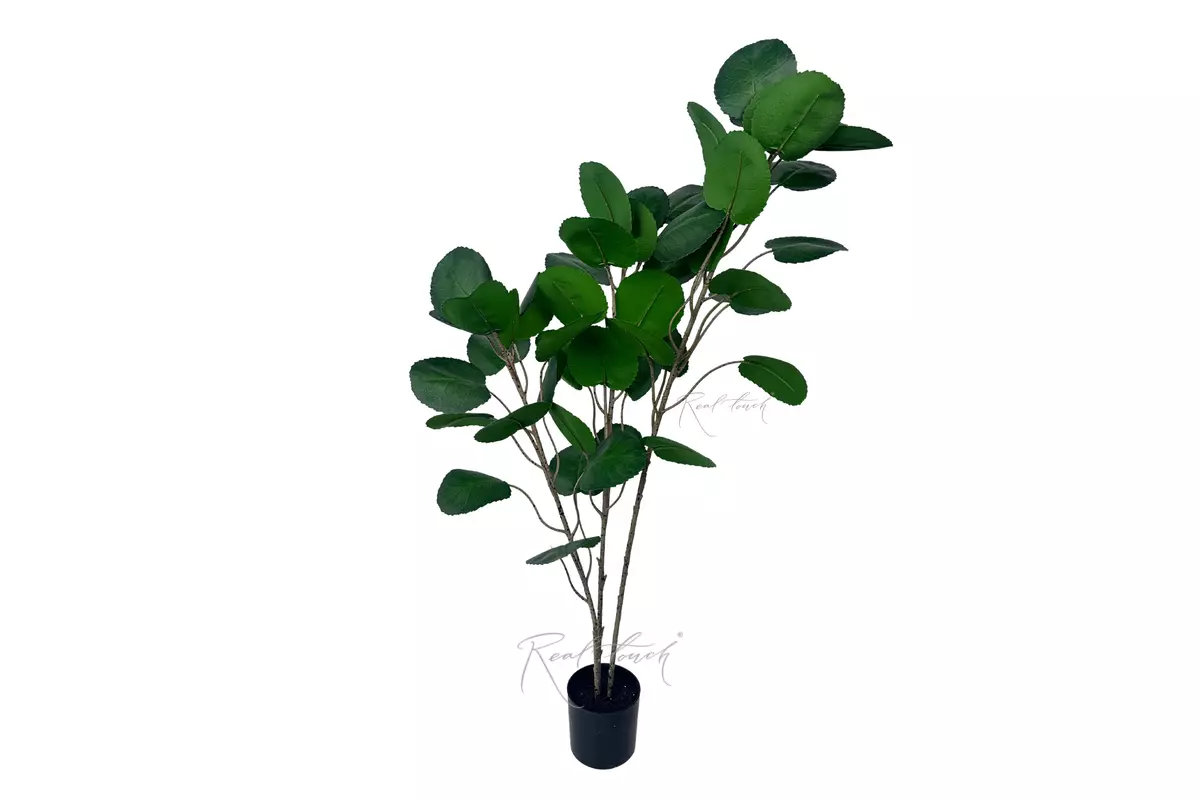 Money tree small 1.1m - green