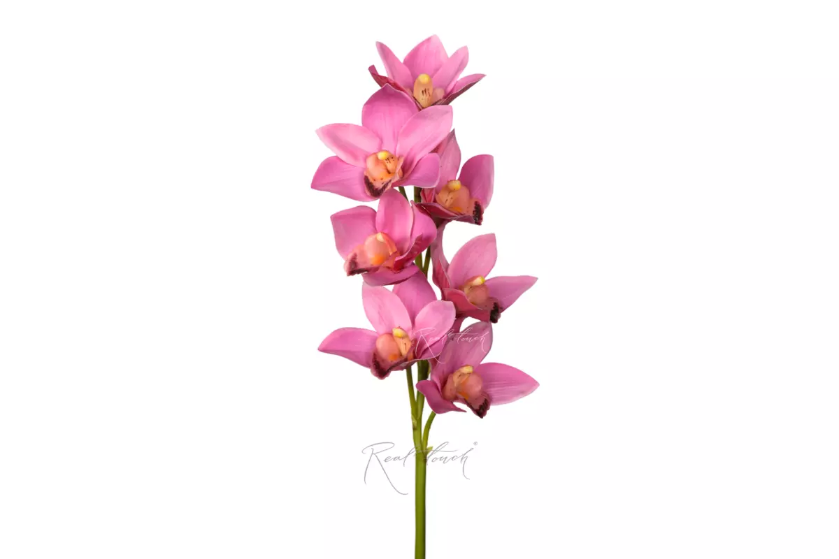 Cymbidium with 7 inflorescences 27" - light purple 