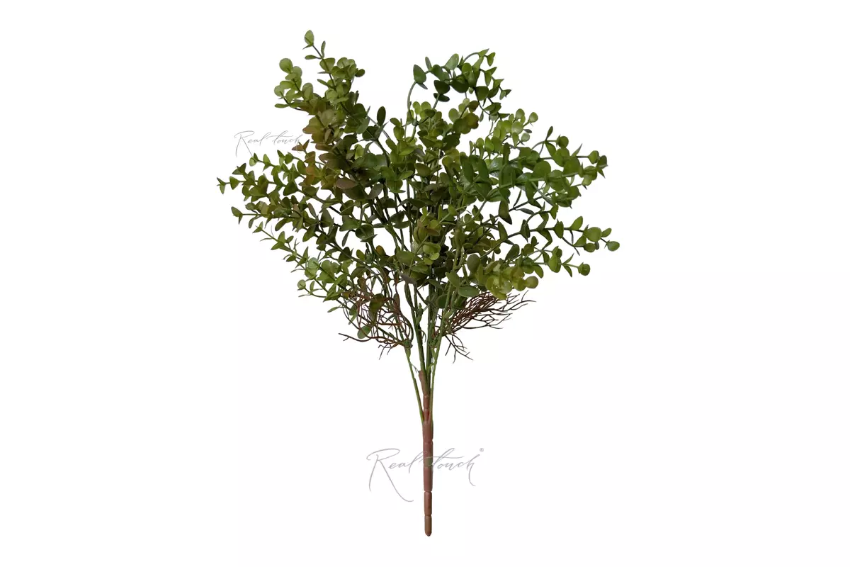  Eucalyptus Bush - Green red