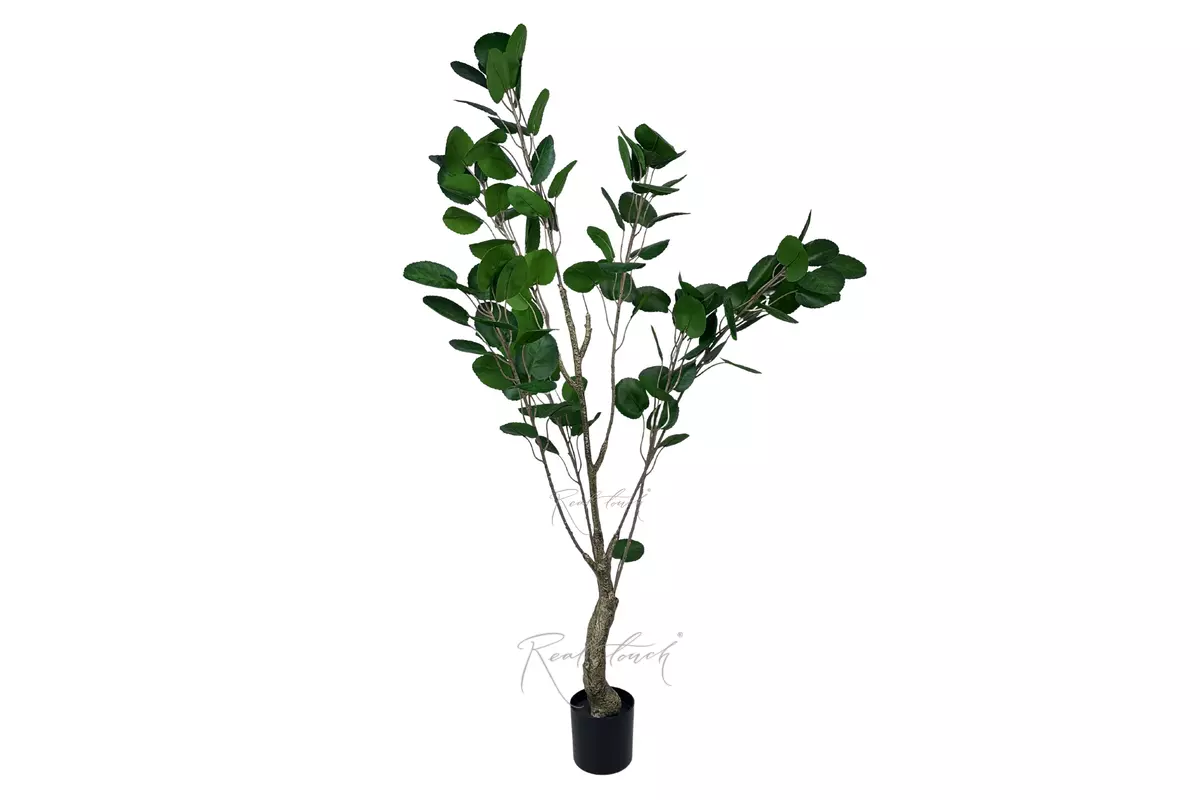 Money tree 1.8m - green