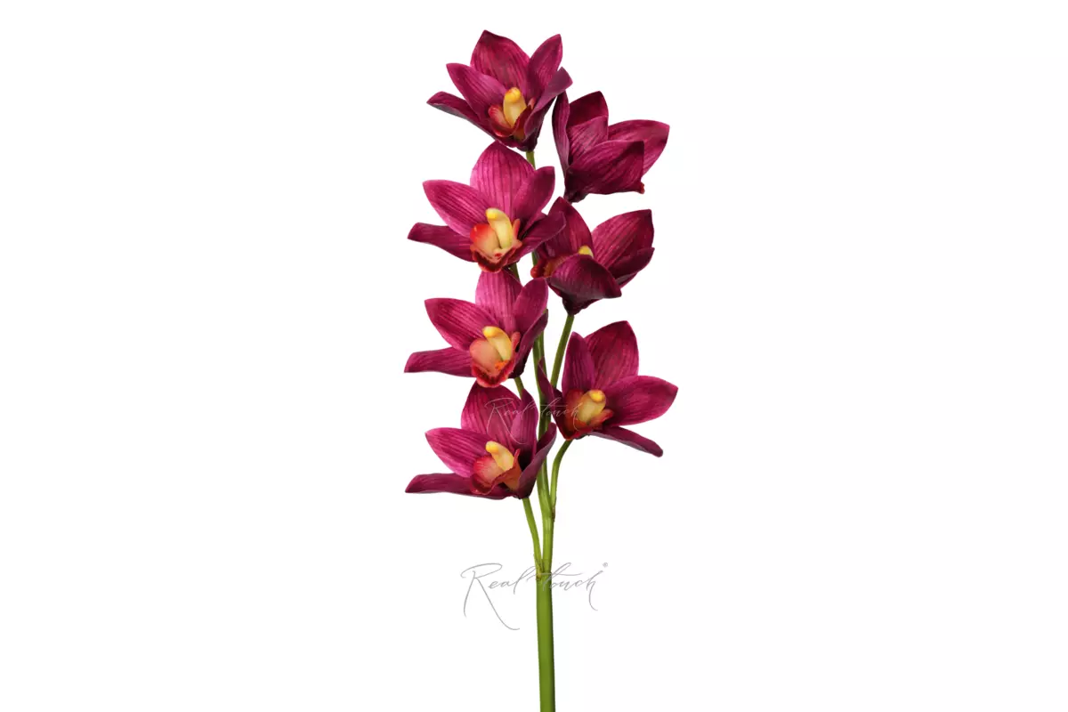 Cymbidium with 7 inflorescences 27" - purple