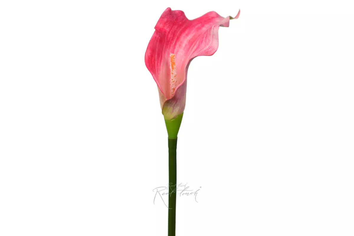 Calla 3D Large - pink