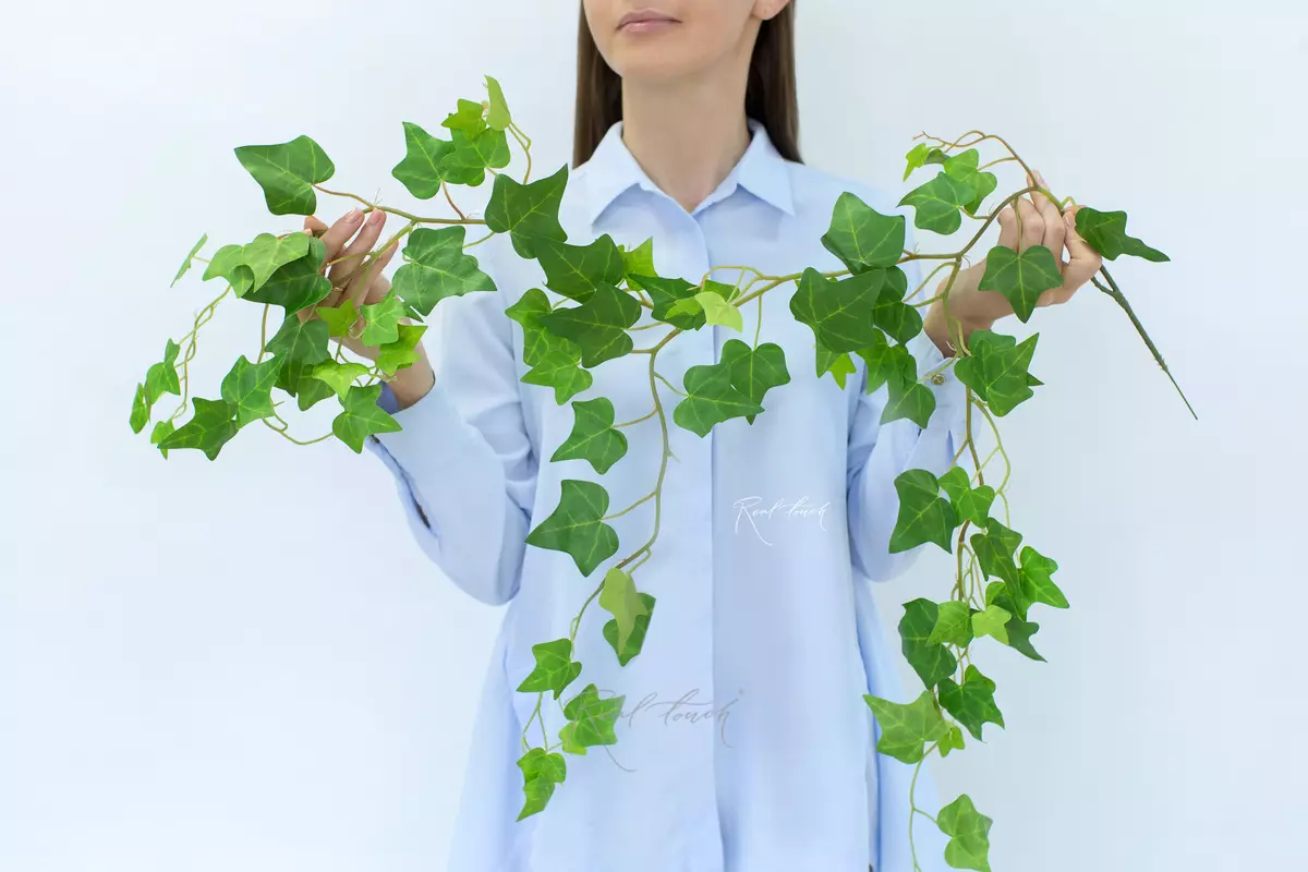 Ivy - bush 100cm - green