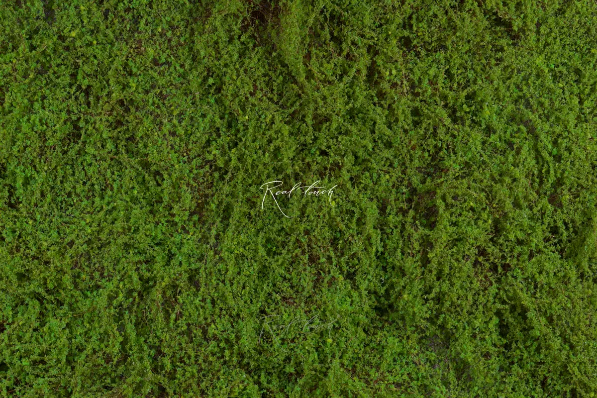 Moss mat 1*1м - green