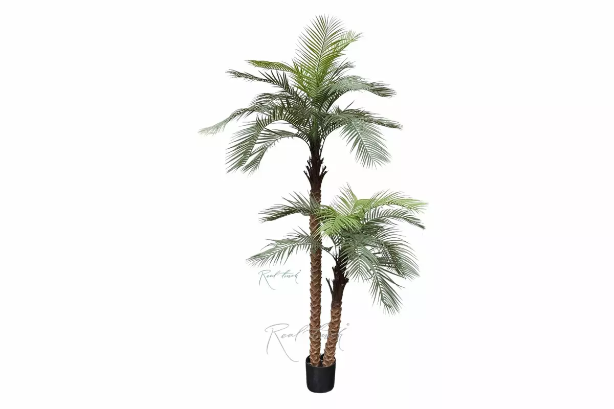 Coconut palm 240cm - green
