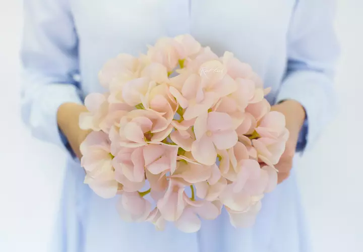 Real Touch hydrangea (without stem) - blush