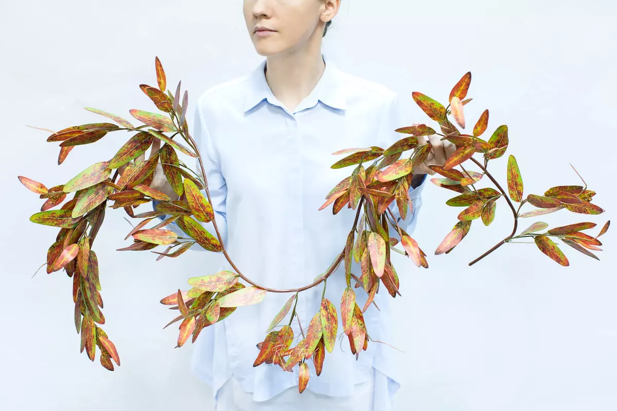Eucalyptus Garland POPULUS - orange