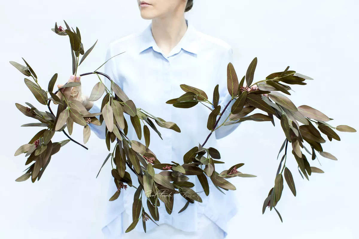 Eucalyptus Garland POPULUS - Brown