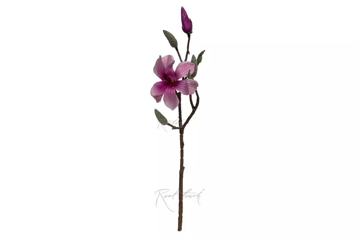 Magnolia Branch small - purple