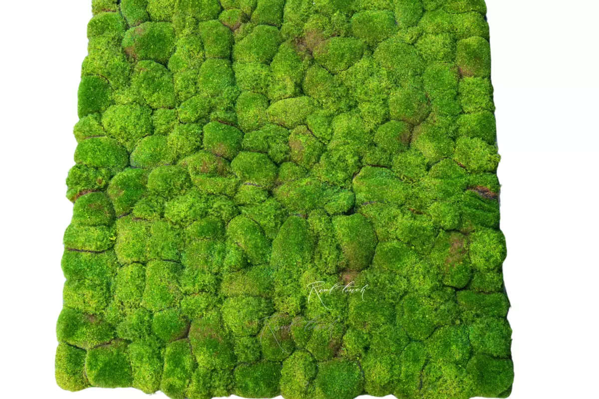 Moss mat with hummocks 100*100cm (type 2) - green