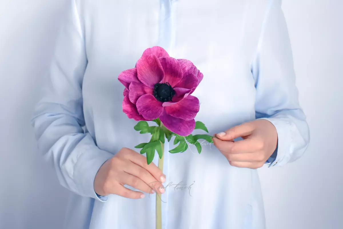 Anemone - Violet purple