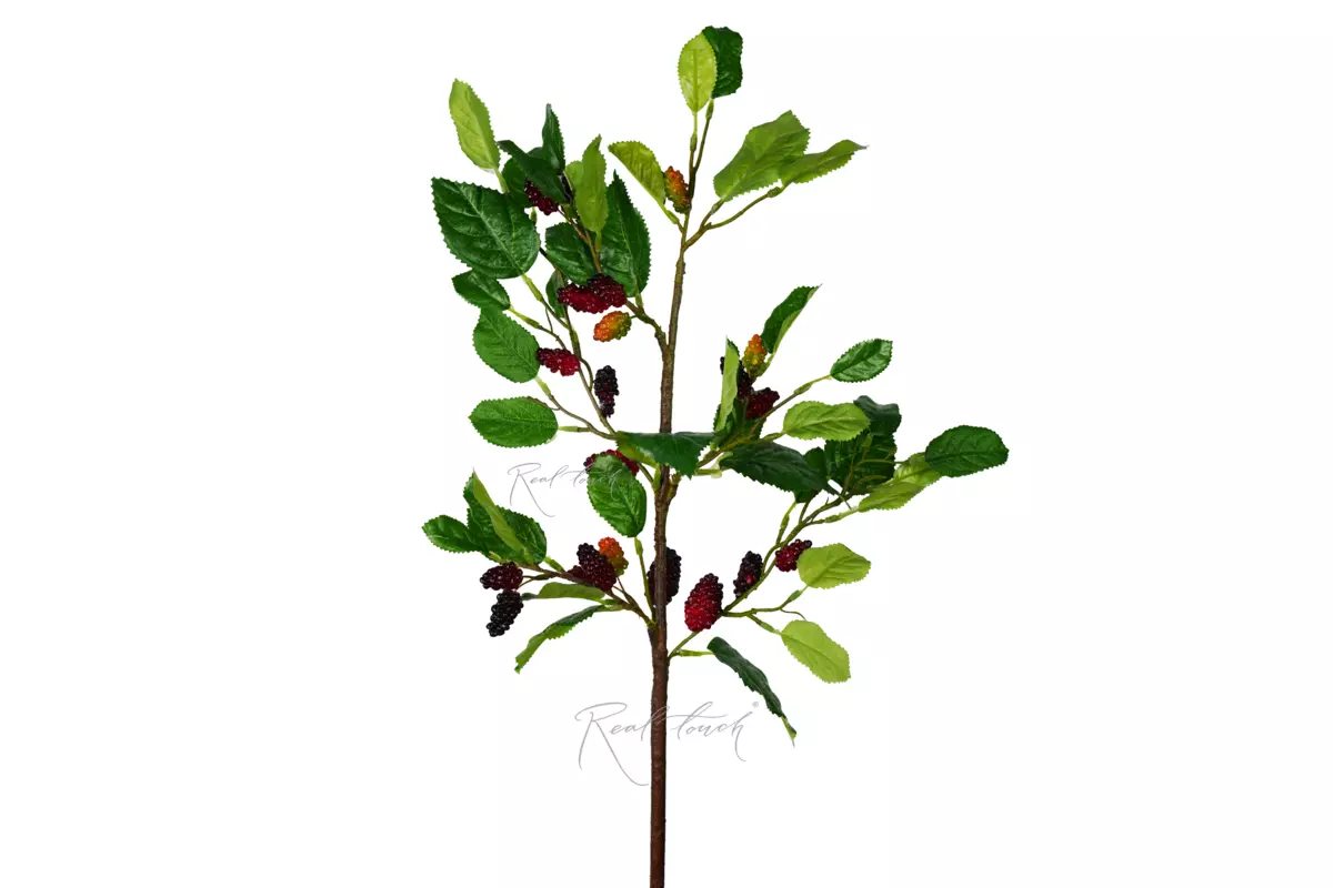 Raspberry branch - 