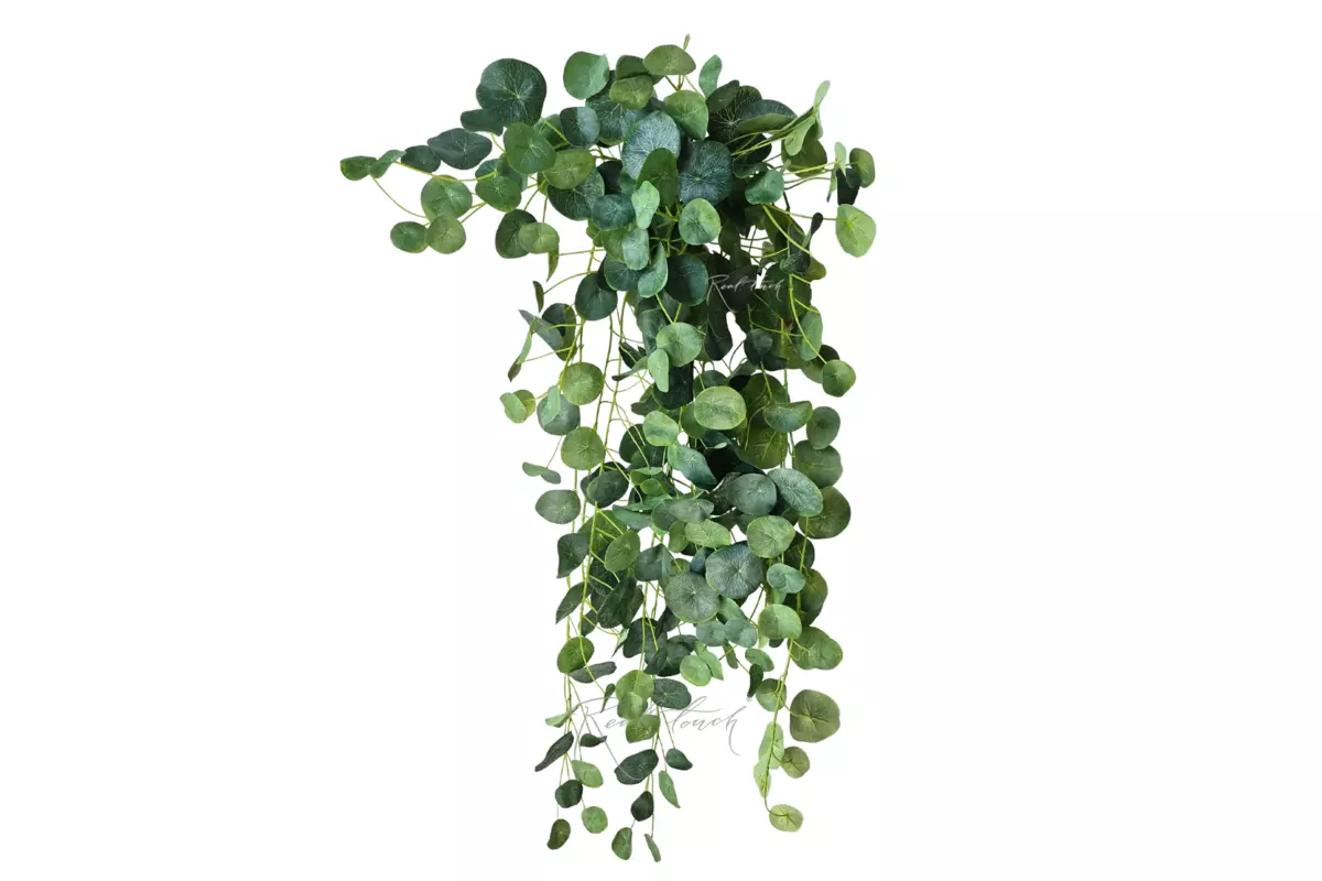 Peperomium - shaped pilea 100cm - green