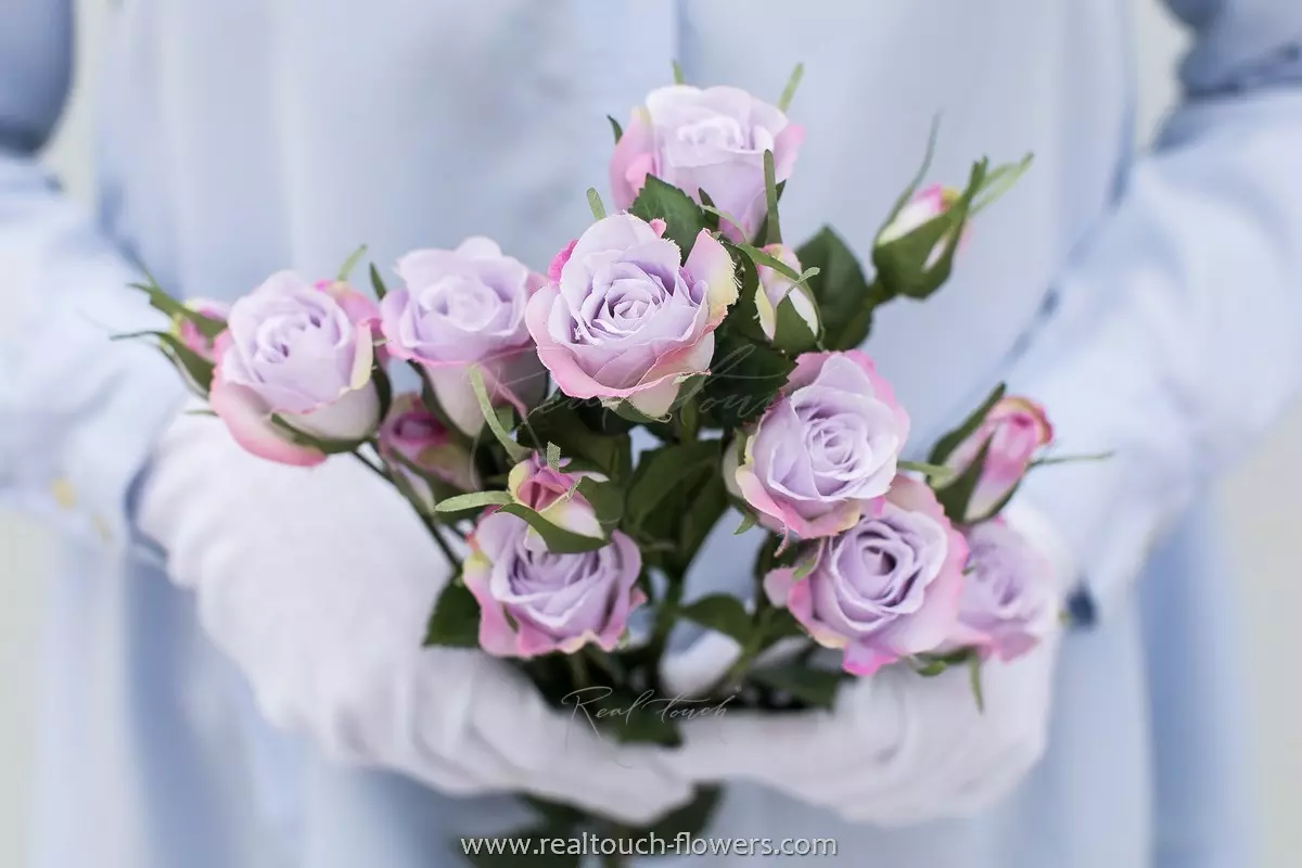 Rose Bush Milka Sensation - Light purple