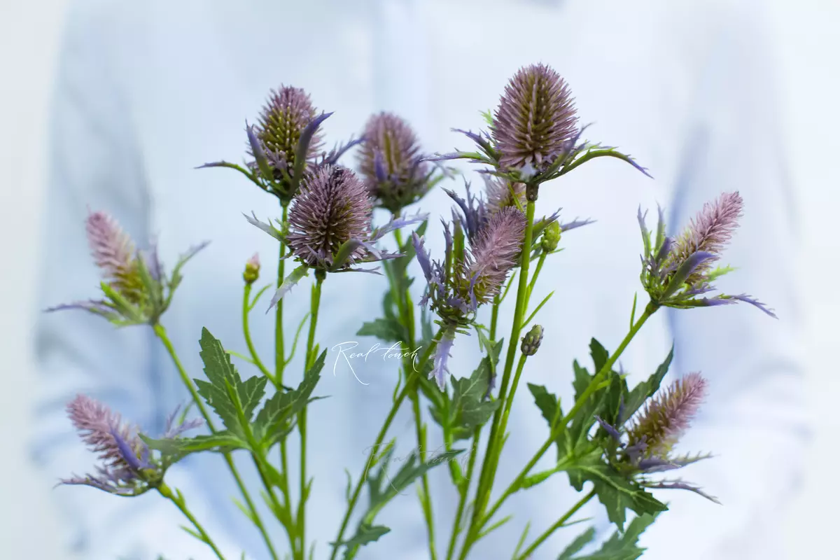 Real Touch Eriygium Supernova Sea Holly Flowers - smoky lilac Real Touch Eriygium Supernova Sea Holly Flowers - smoky lilac