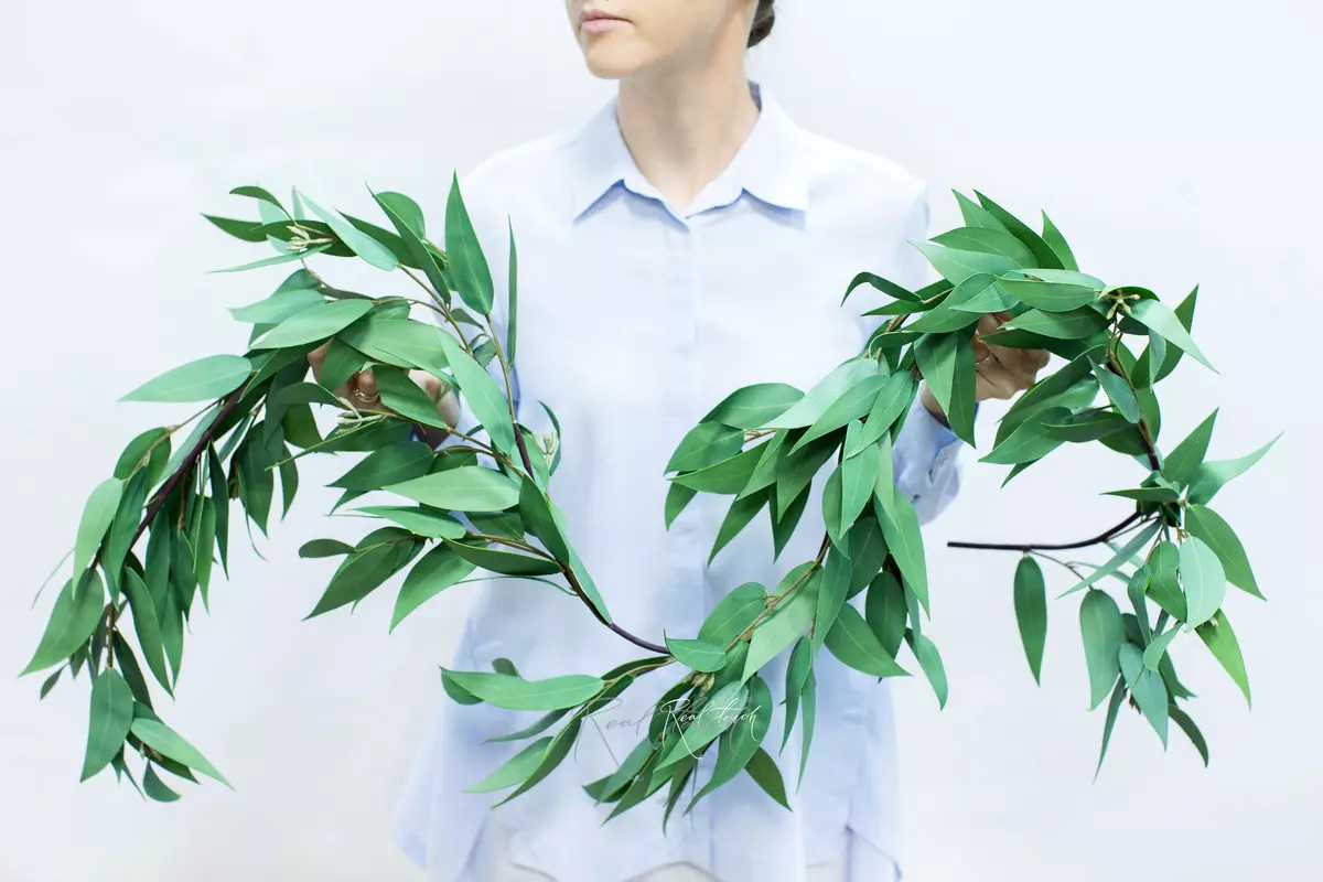 Eucalyptus Perrin Garland - green