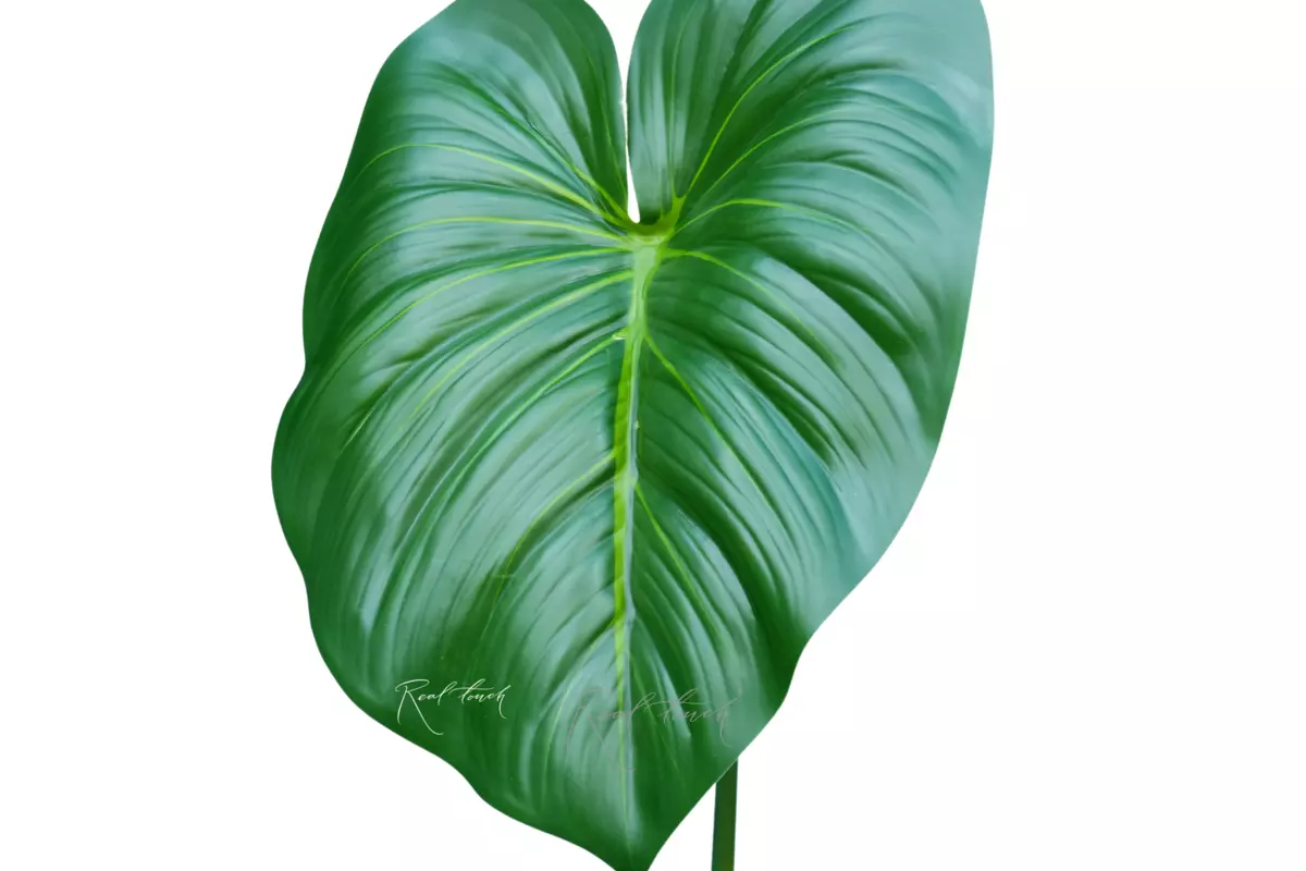 Philodendron Leaf (size 2) - green Philodendron Leaf (size 2) - green