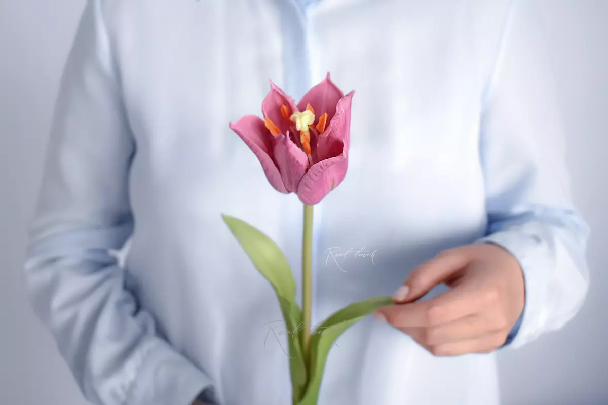 Lily-flowered tulip - Lilac