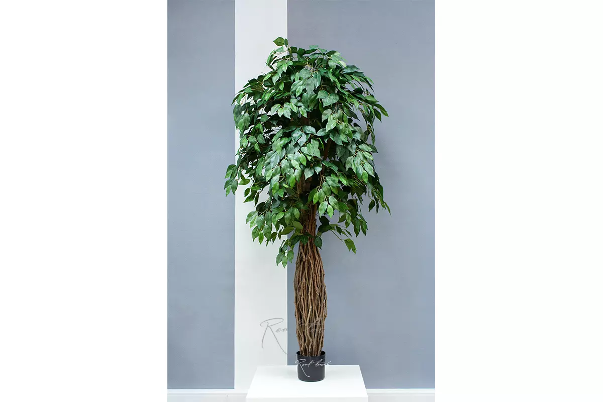 Artificial  Ficus Benjamina Liana  180cm  - green