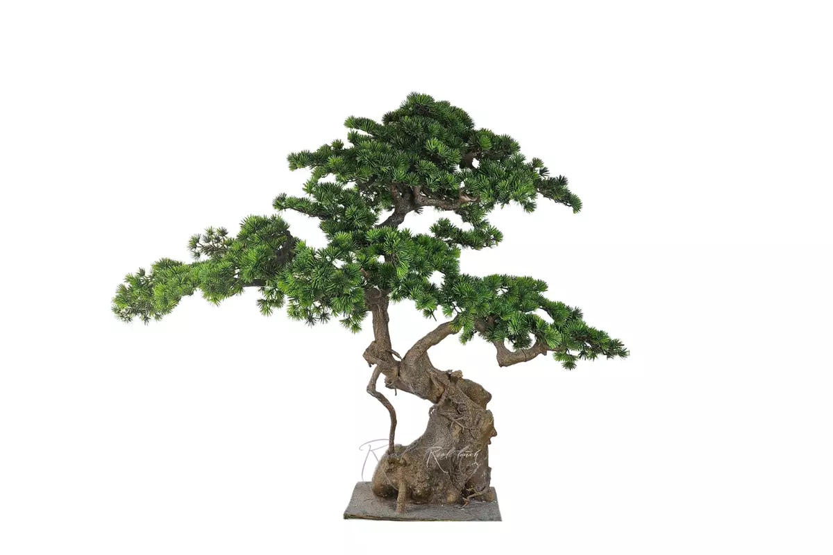 Niwaki (bonsai) 110*130*40 cm - green