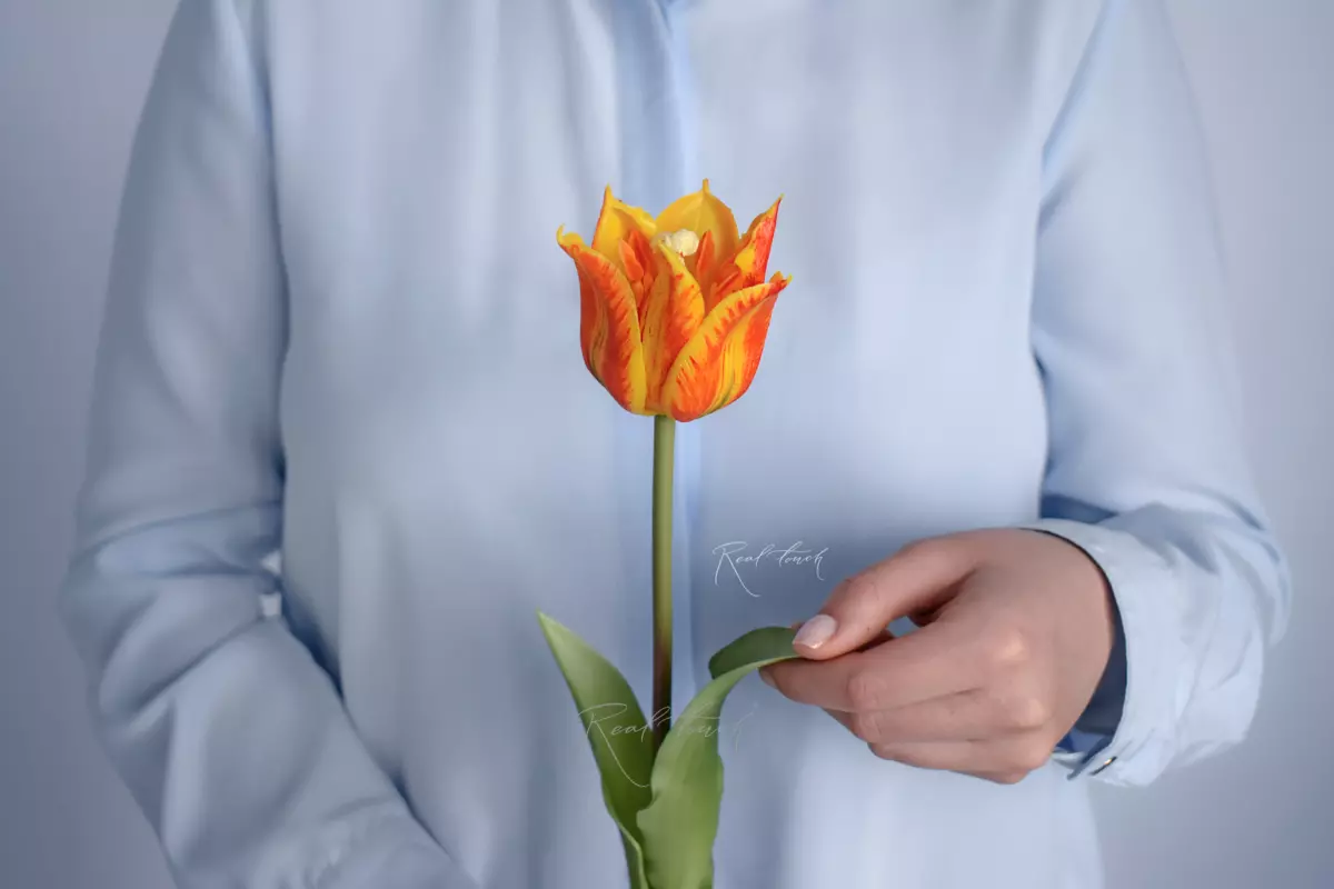 Lily-flowered tulip - orange
