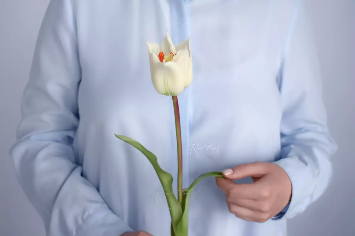 Lily-flowered tulip - white
