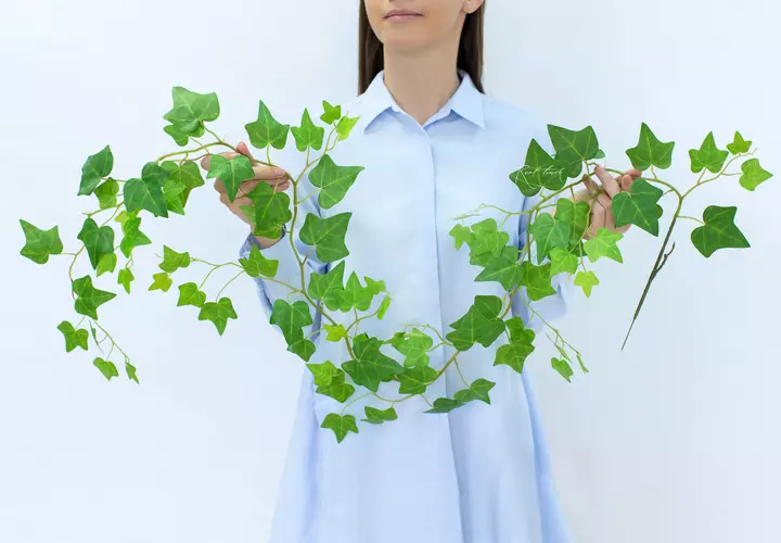 Ivy - Liana 160 cm - green