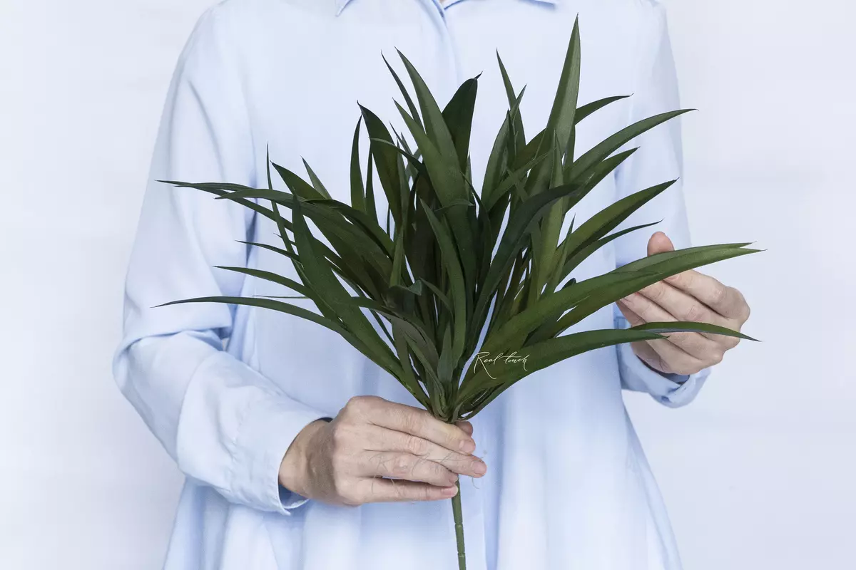 Lush Grass - Dark green