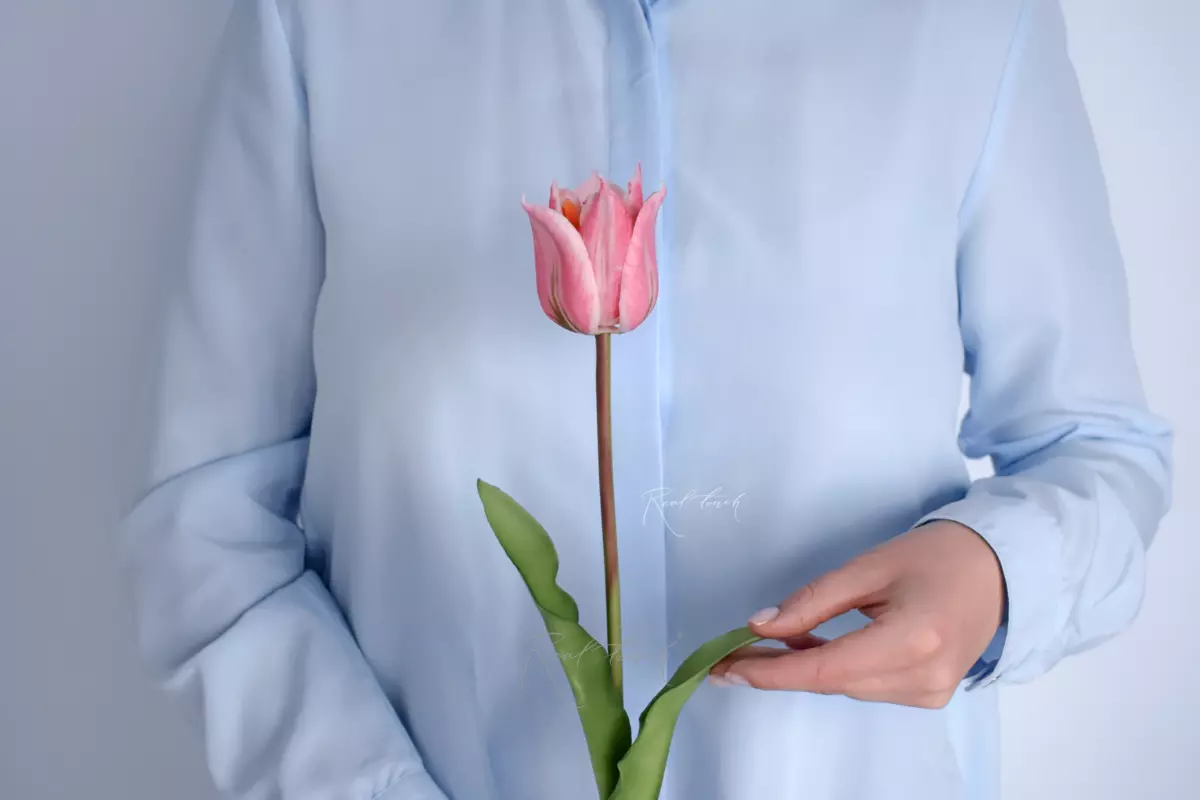 Lily-flowered tulip - pink