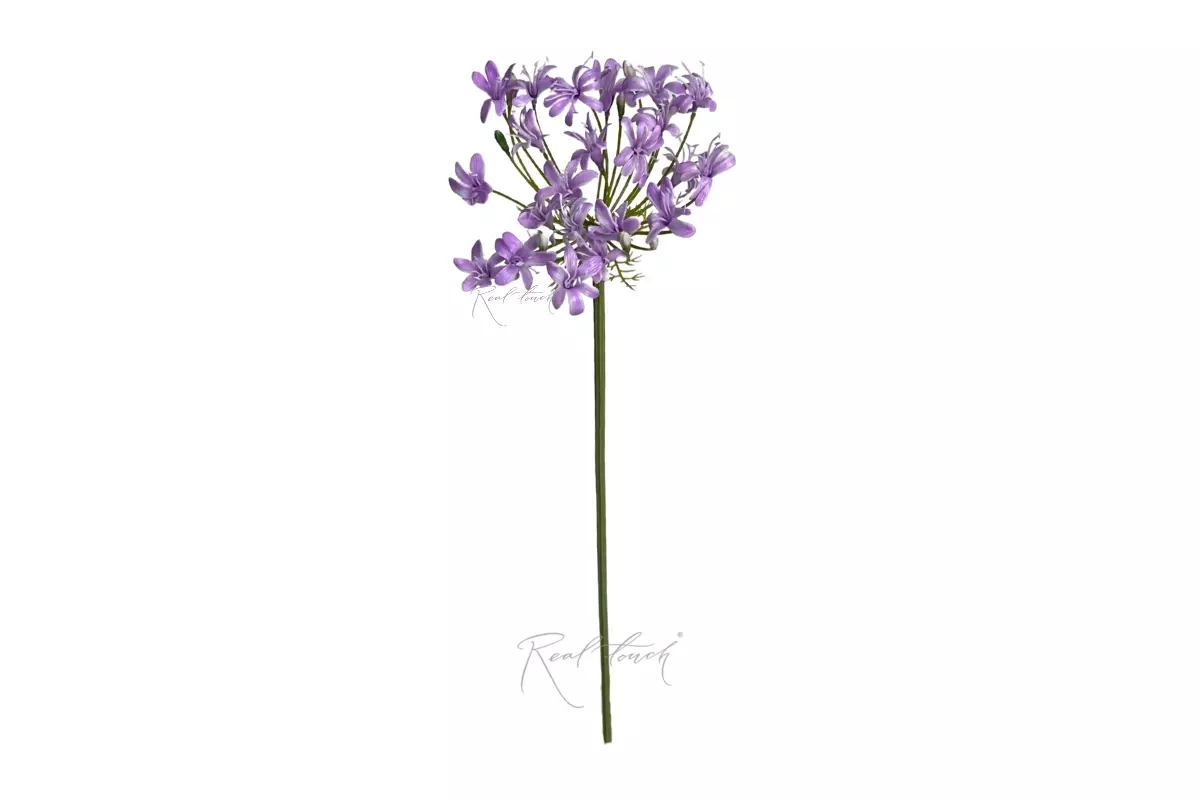 Agapanthus 76cm - purple