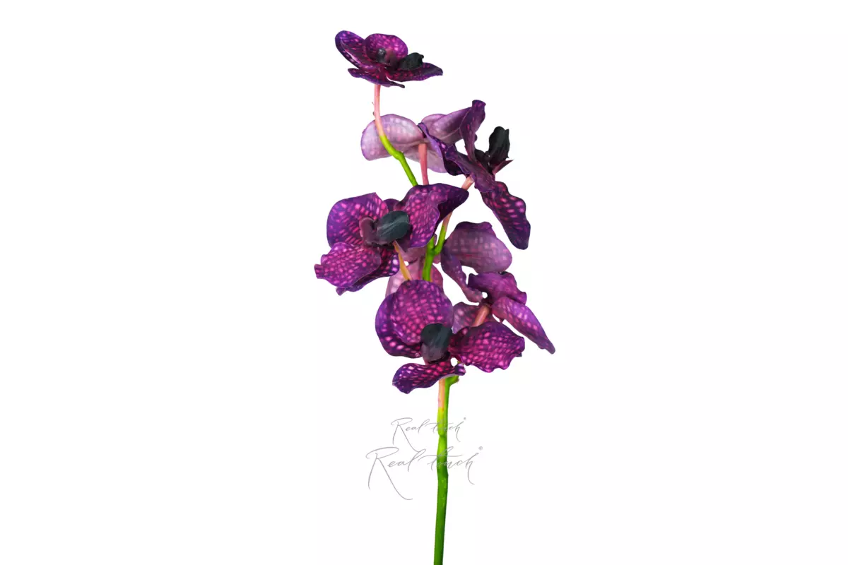 Orchid Vanda 23.5" (7 inflorescences) - purple