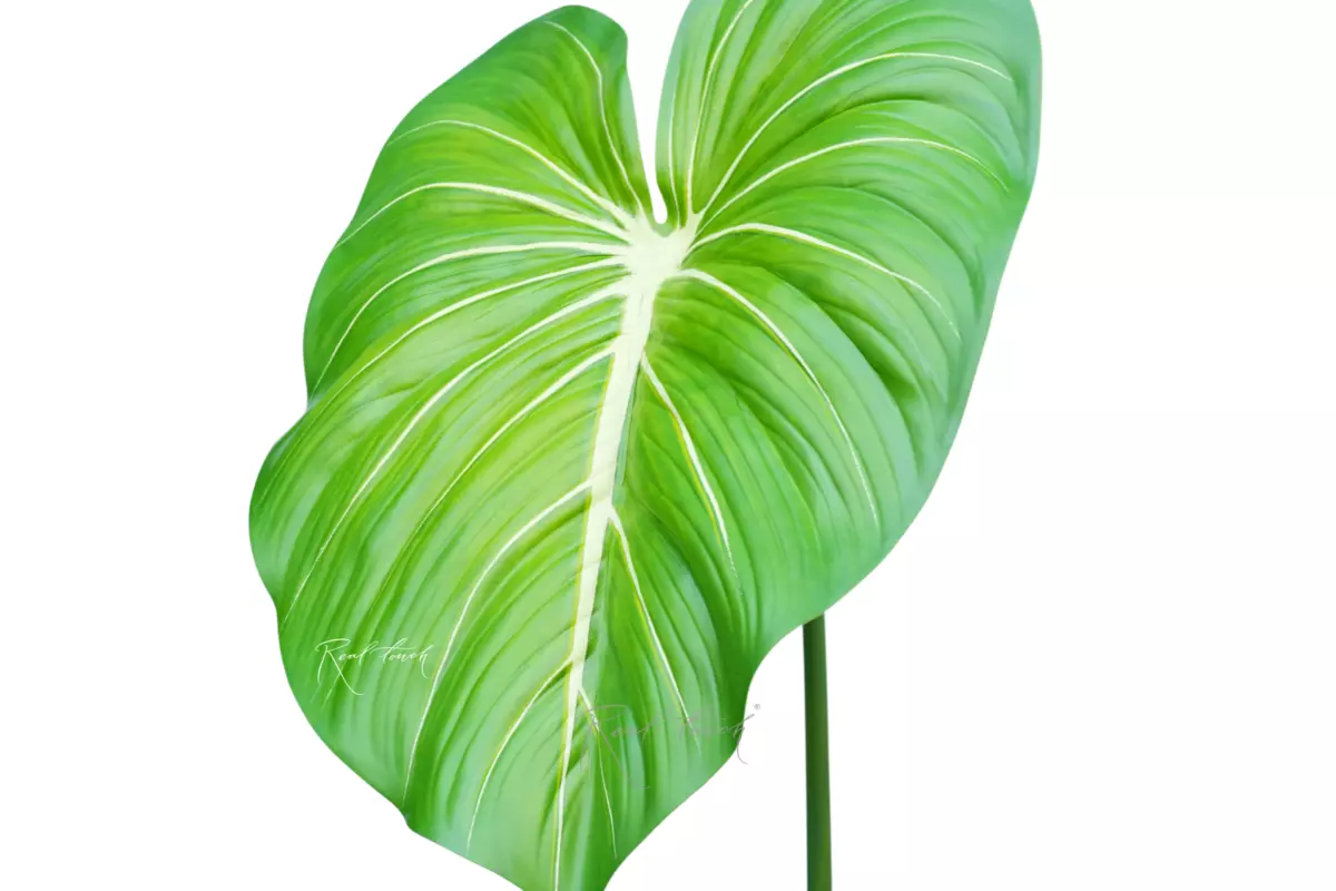 Philodendron Leaf (size 2) - light green
