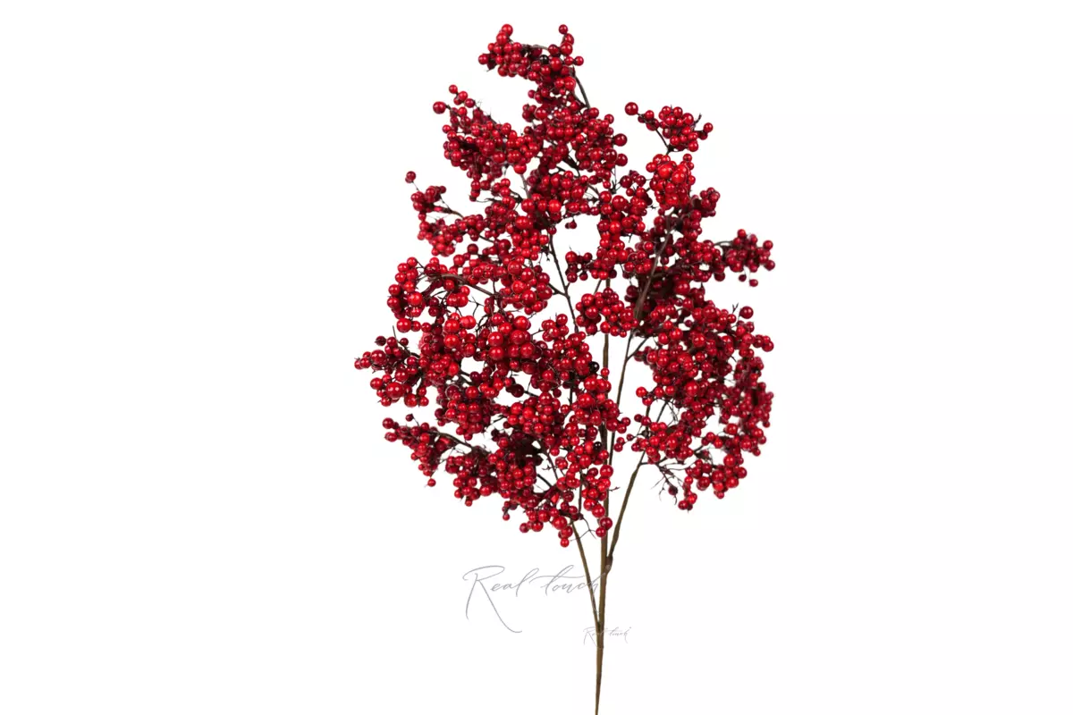  Ilex branch large - red