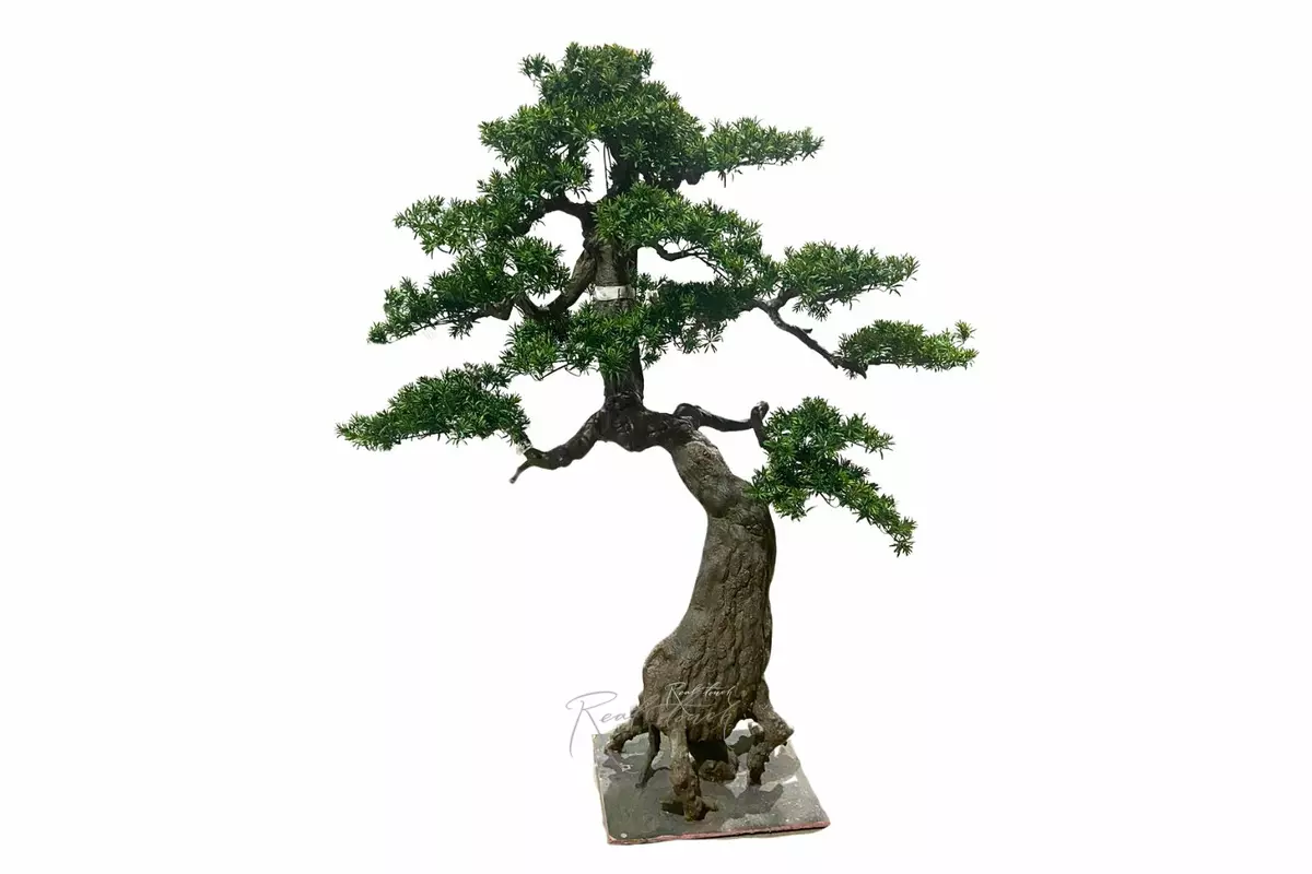 Bonsai tree 205*180*100 cm - green Bonsai tree 205*180*100 cm - green