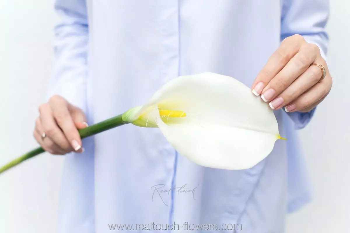 Real Touch Calla Lily Premium - white
