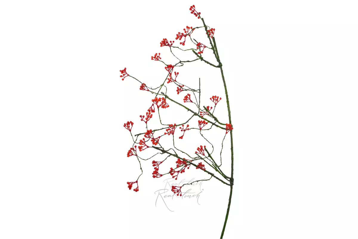 Rowan branch - orange